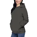 unisex-premium-hoodie-vintage-black-left-front-67c0b31b242b4.webp