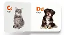 Screenshot 2025-04-24 162156.webp