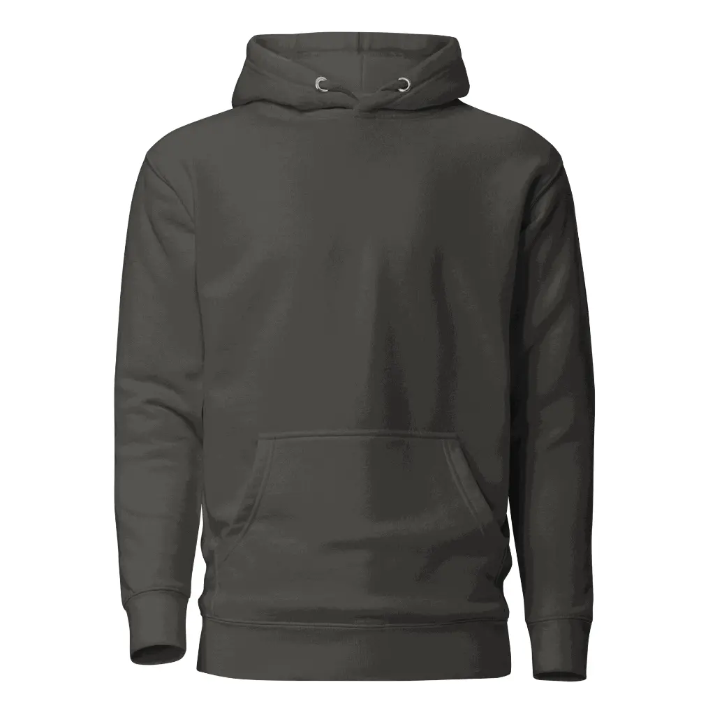 unisex-premium-hoodie-vintage-black-front-675ff56d7650e.webp