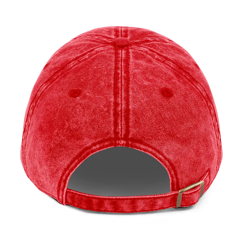 vintage-cap-red-back-674f0f1c7be29.webp